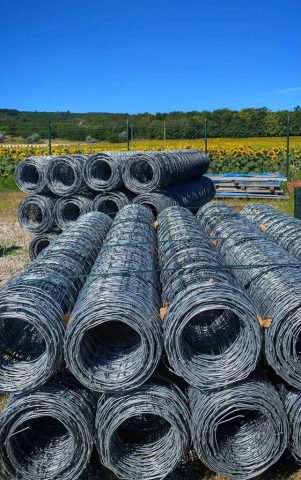 181a95a9-b906-41e2-aade-7af0a0759e48 (1)